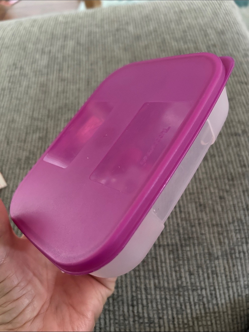 Tupperware Freezer Mate container sheer plastic base and a bright magenta seal